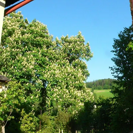 Stara Plebania