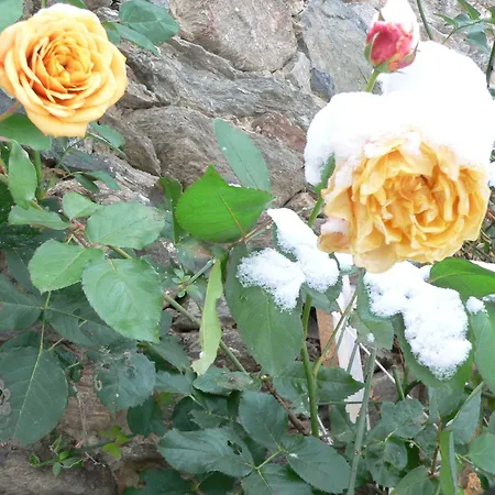 בית חווה Stara Plebania