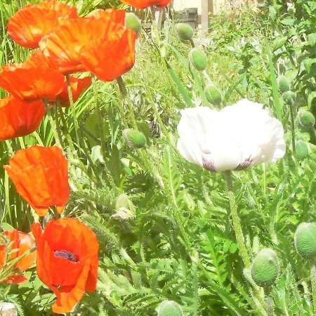 Stara Plebania Lądek-Zdrój